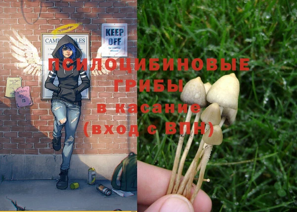 гашиш Каменка