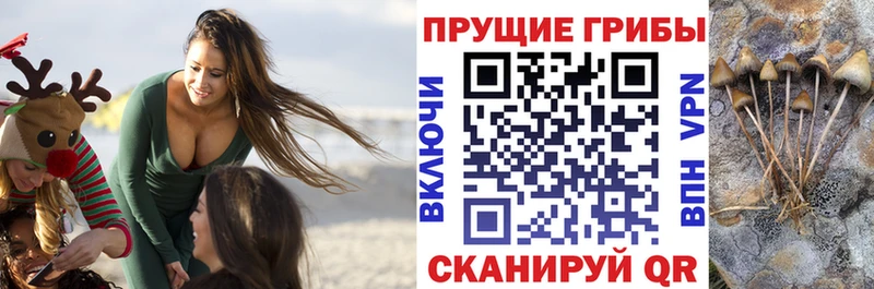 купить закладку  Перевоз  Галлюциногенные грибы ЛСД 